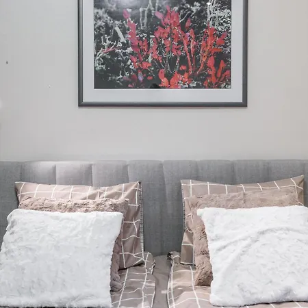 Aurora Jacuzzi Huvilat Rovaniemi