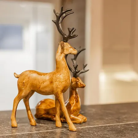 Huvilat Aurora Jacuzzi *