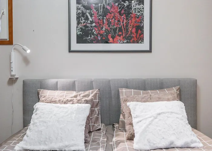 Aurora Jacuzzi Villa Rovaniemi